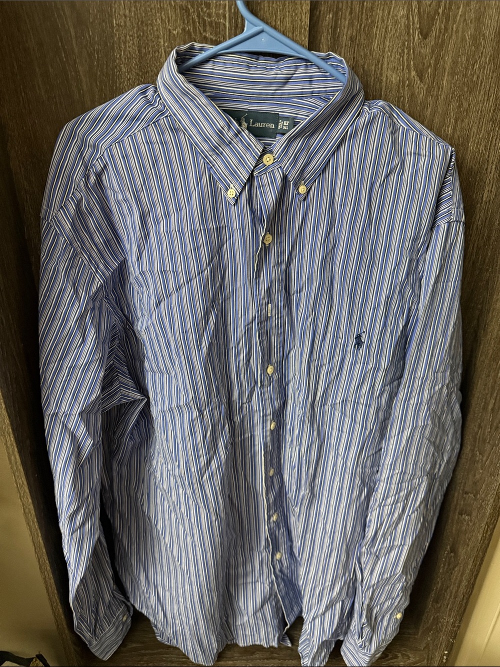 Lauren Ralph Lauren Blue and White Striped Button-Down Shirt